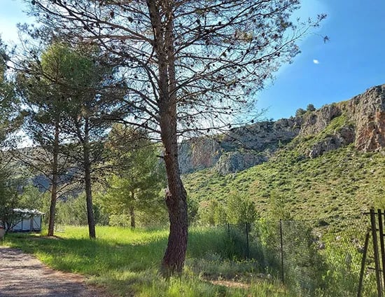 Camping Villa de Viver gallery 1