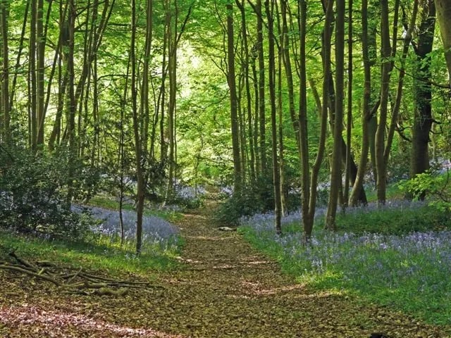 Home Farm Camping and Caravan Park gallery 3