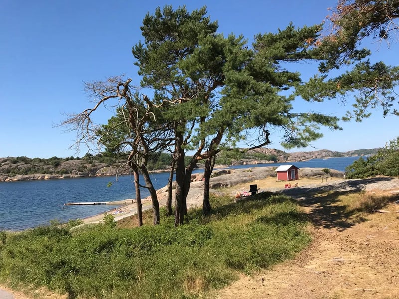 Fjällbackacamping