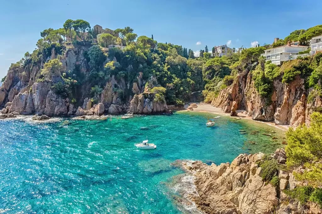 Camping el Pinar gallery 1