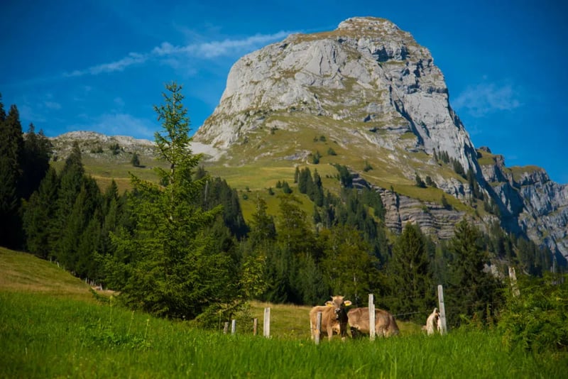 Camping Güntlenau gallery 1