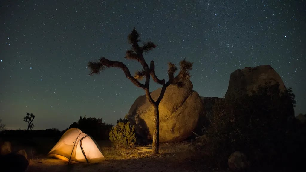 15 min to Joshua Tree National Park! gallery 2