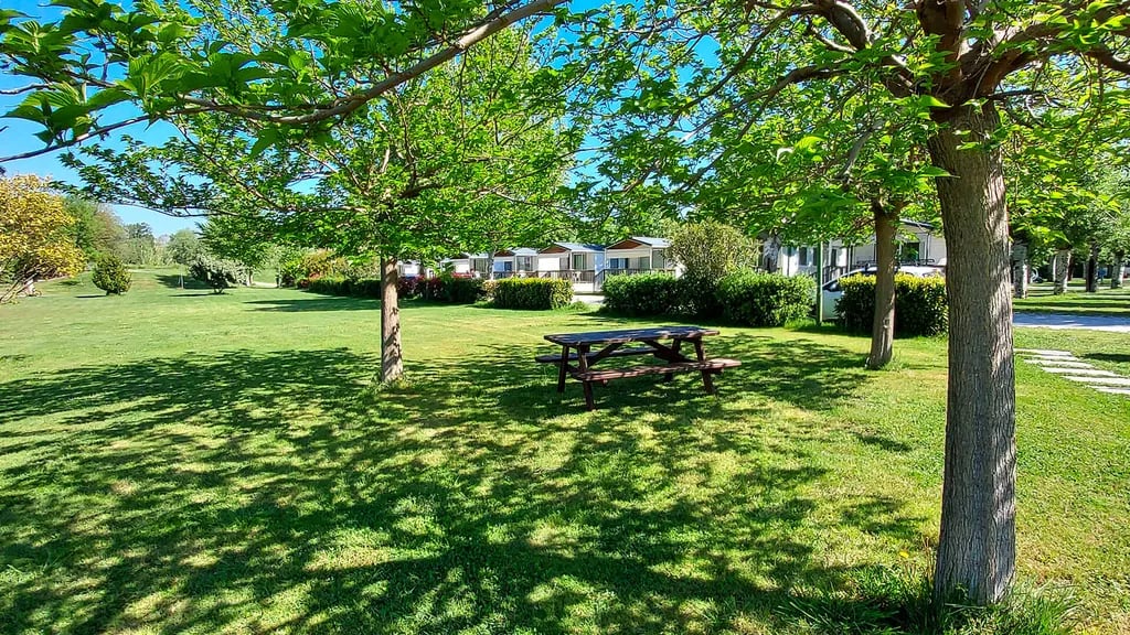 Iron Gate Marina 3B gallery 1