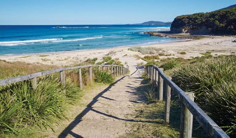 Pretty Beach campground – Murramarang National Park gallery 2