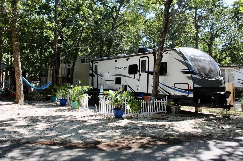 Uvas Canyon County Park gallery 1