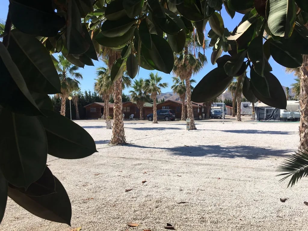 Camping Los Delfines gallery 2