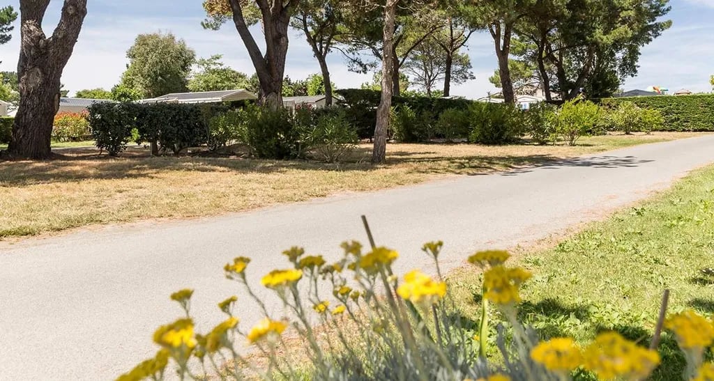 Yelloh! Village Le Chaponnet gallery 3