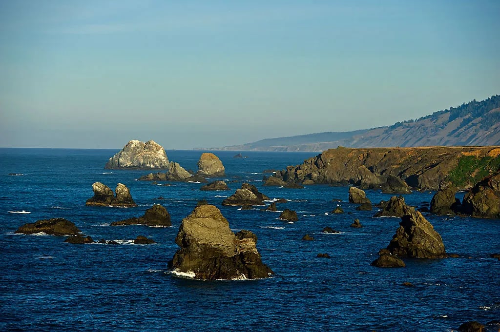 Sonoma Coast State Park gallery 1