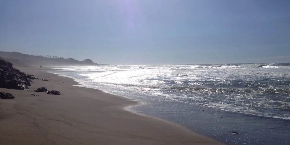 Sea and Sand RV Park gallery 1