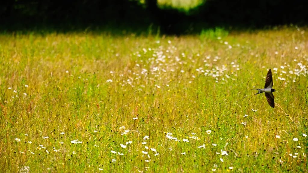 Farleigh Camping gallery 1