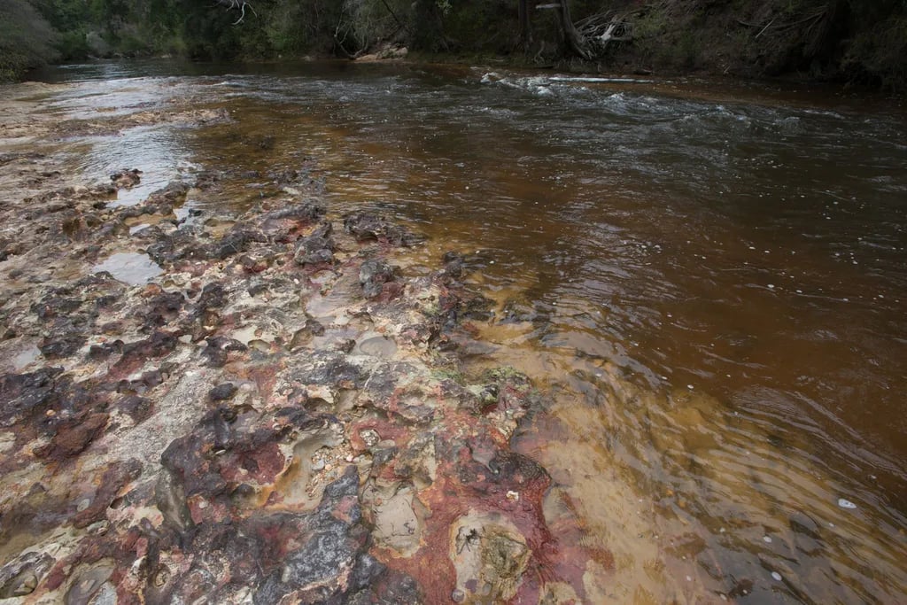 Lucky Loggers RV Park