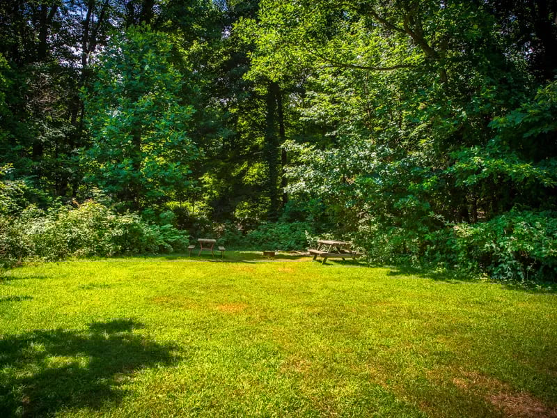 Virginia’s Beach Lakefront Cabins and Camping
