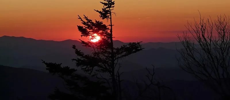 Siler Bald Trail Shelter TR 373 gallery 2