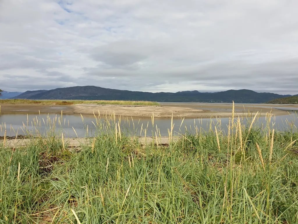 Solvang Camping gallery 1