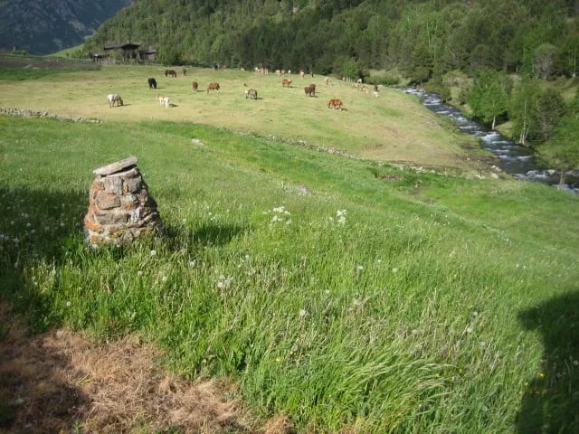 Camping Font de Ferrocins gallery 3