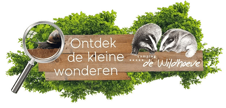 Camping De Wildhoeve gallery 3