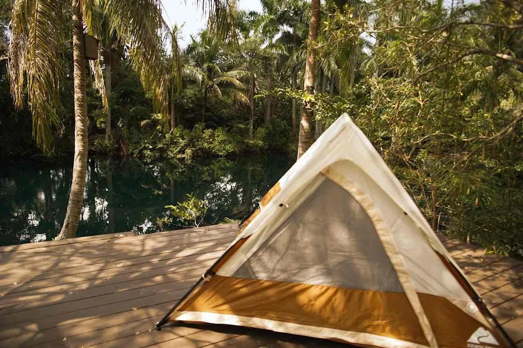 Honey’s Place gallery 1