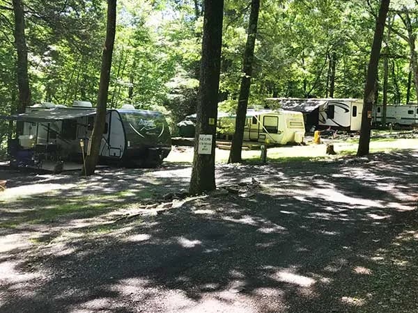 Cranberry Run Campground gallery 3