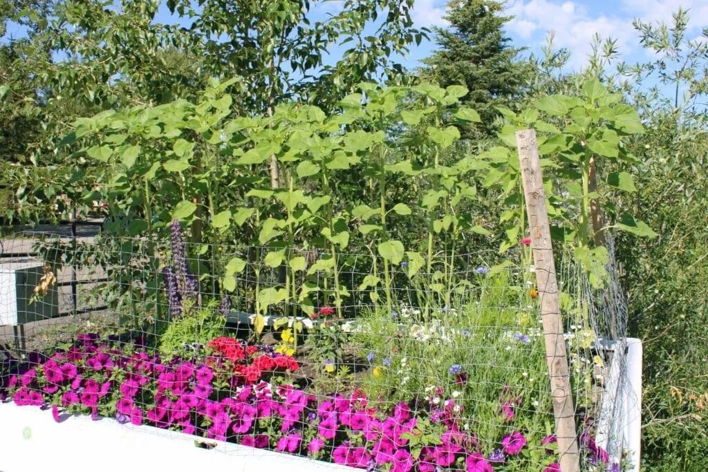 Riverbend Campground