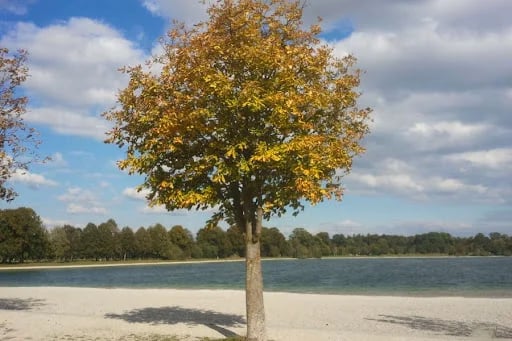 Camping Langwieder See gallery 3