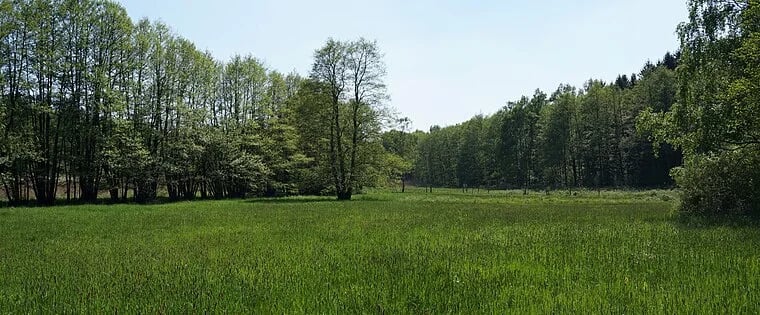 FKK-Sportpark Wolfsburg gallery 4