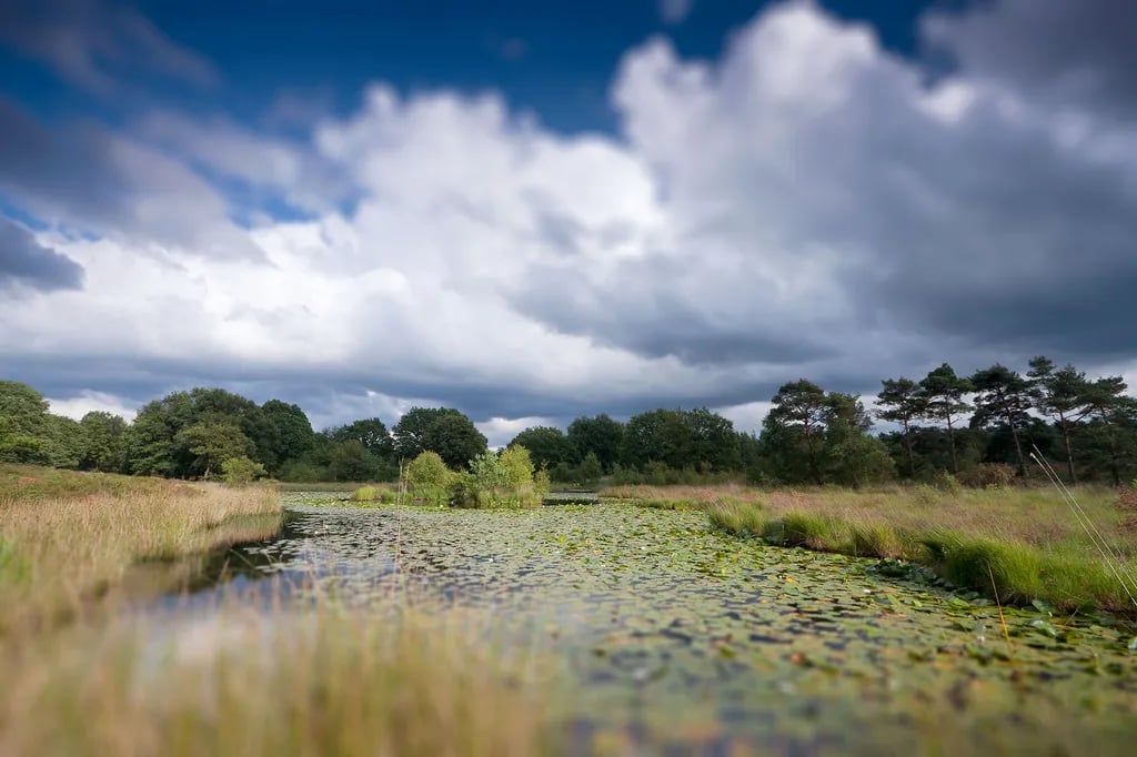 Camping Biej de Vogel