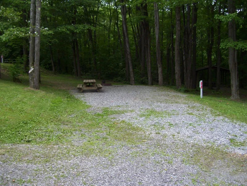 Curwensville Lake Campground gallery 3