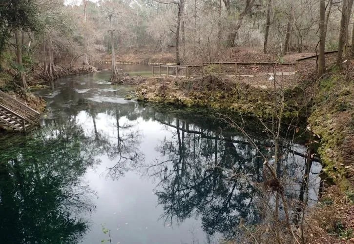 Madison Blue Springs Private Land – FL gallery 2
