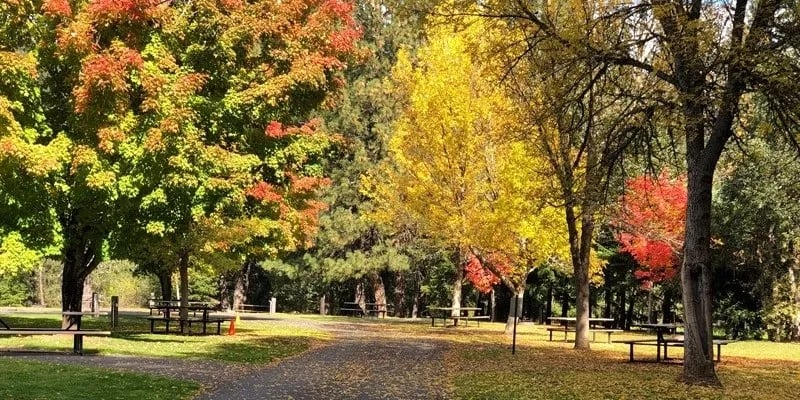 Toll Bridge Park Campground gallery 2