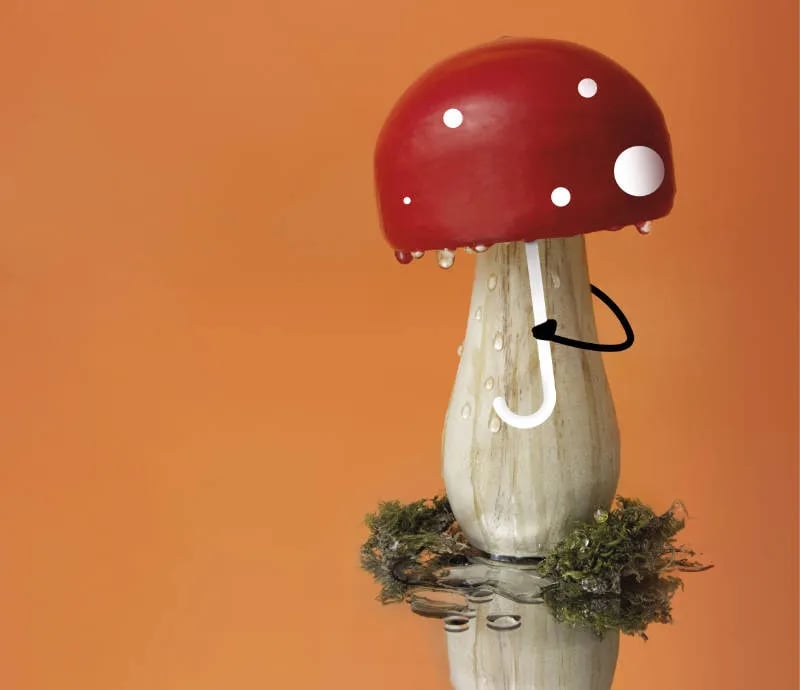 Bassegoda Park gallery 1