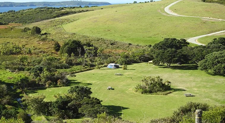 Te Haruhi Bay Campground gallery 3