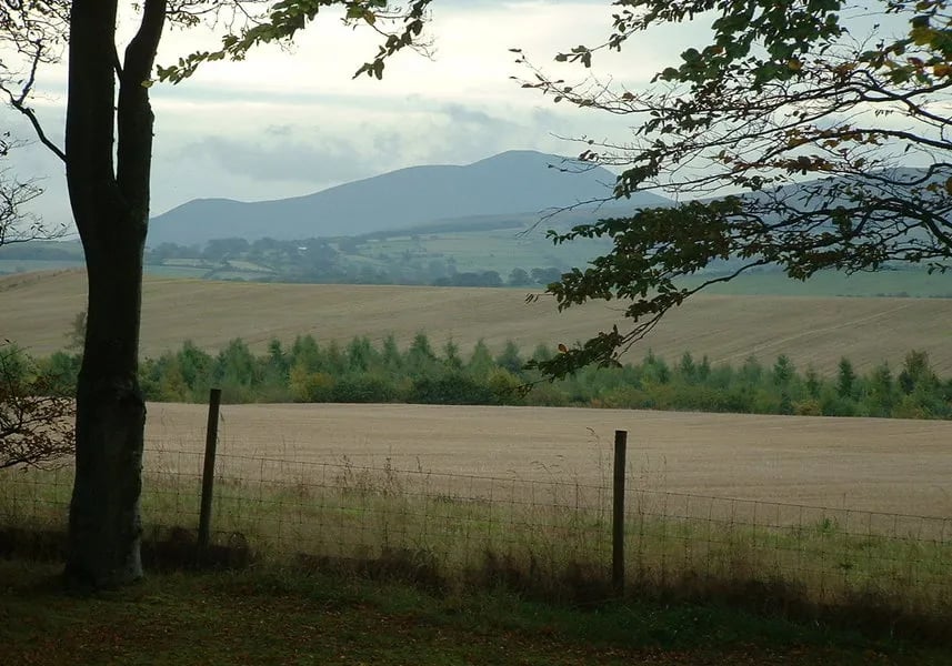 Larches Caravan Park gallery 1