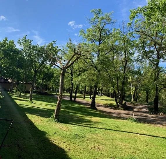 Camping el Puente gallery 3