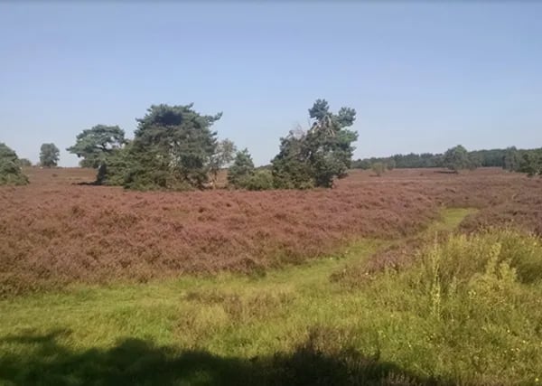 Camping De Zonnehoek gallery 3