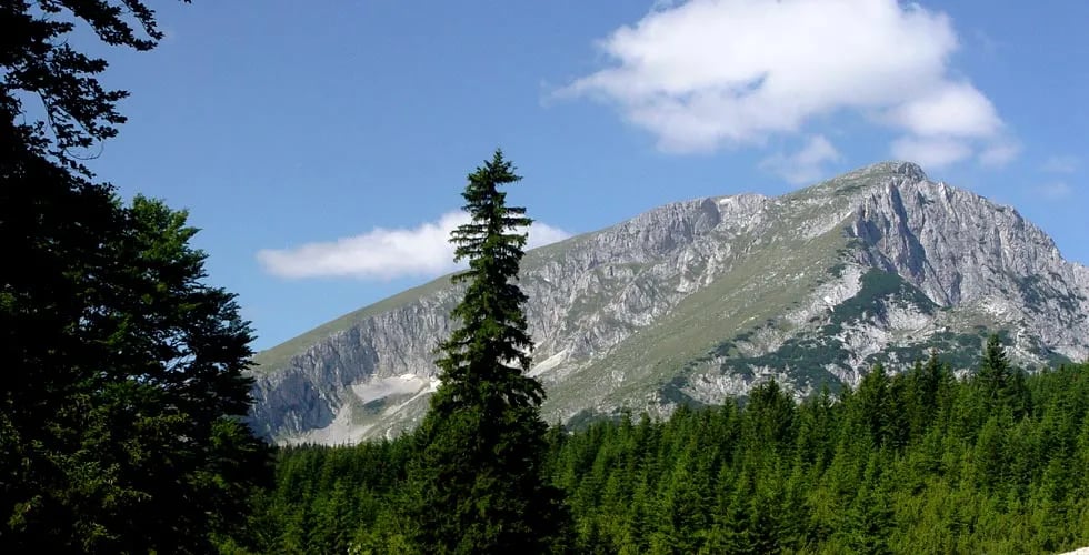 Camp Kod Boce gallery 2