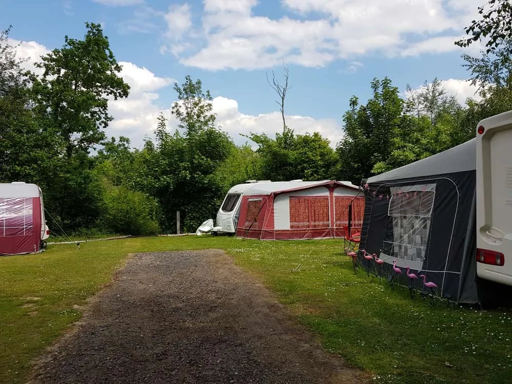 Senlac Wood Holiday Park