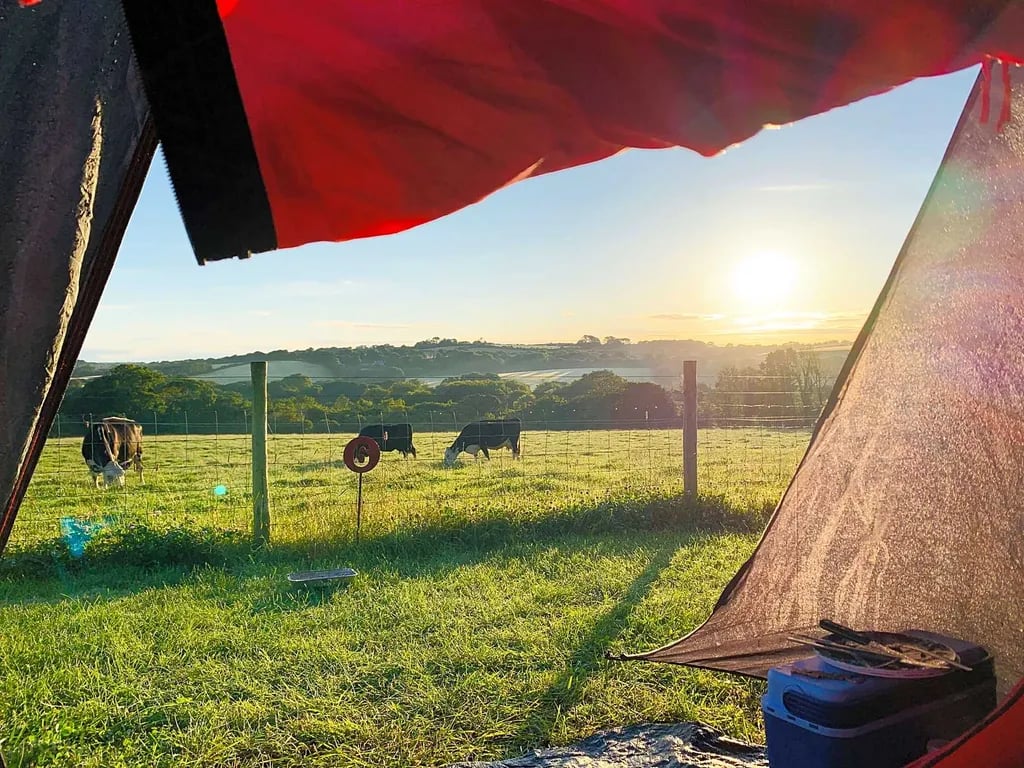 Trevessa Farm gallery 1