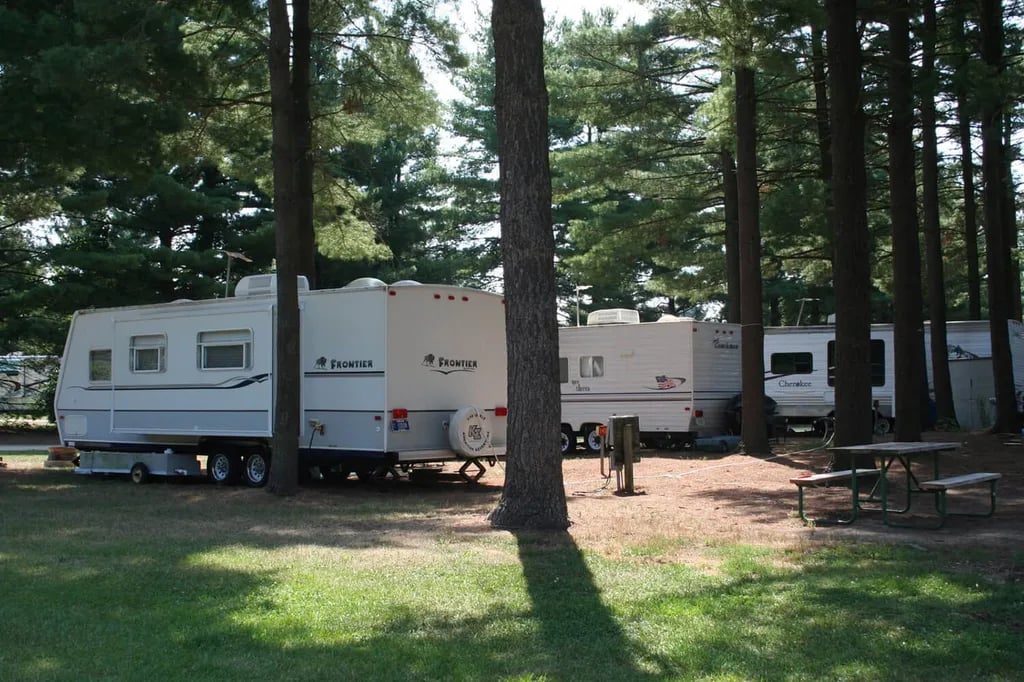 Ebys Pines gallery 3