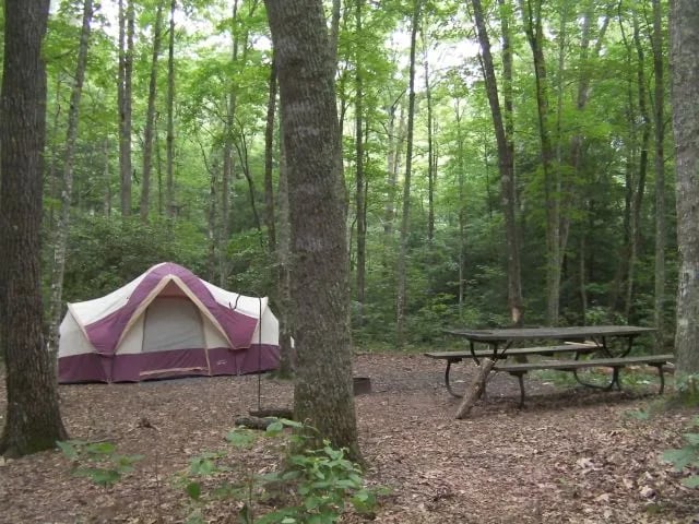 Sheltowee Trace Adventure Resort gallery 1