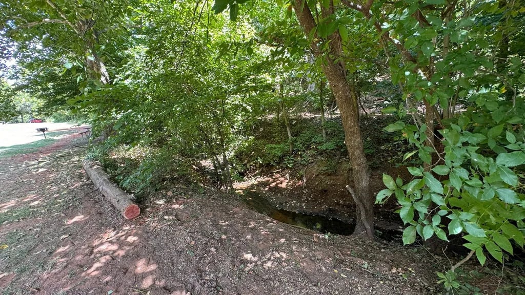 Red Rock Canyon Adventure Park gallery 1