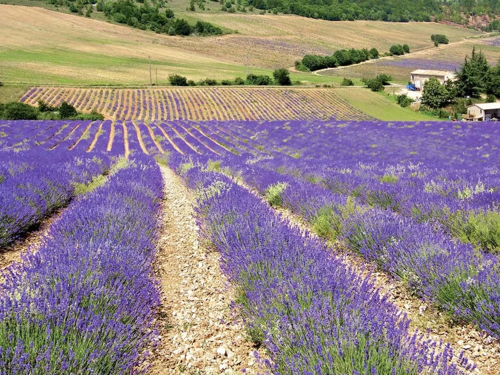 Camping Le Couspeau gallery 2