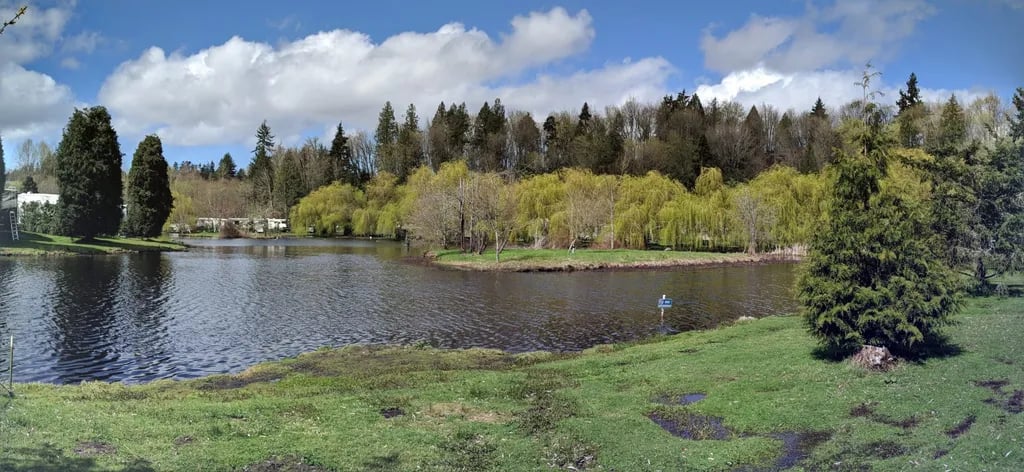 Lake Pleasant RV Park gallery 3