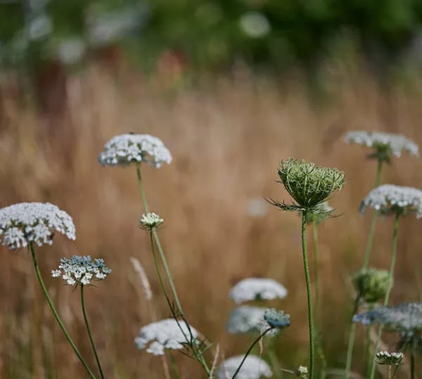 Hawthbush Farm gallery 1