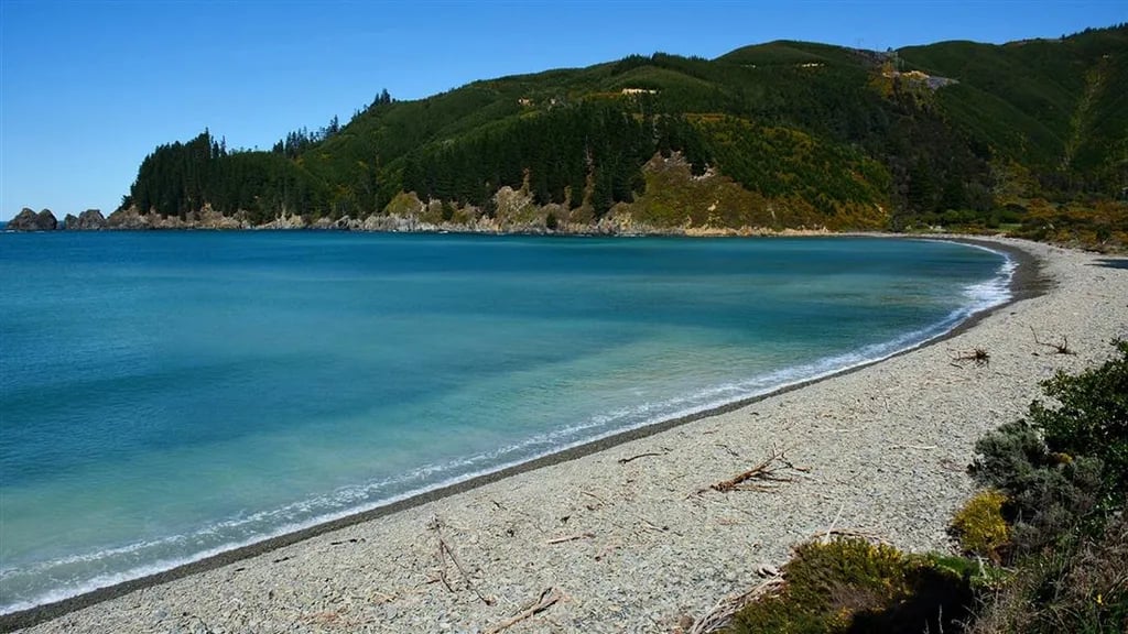 Robin Hood Bay Campsite