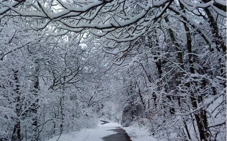 St. Joe State Park Campground