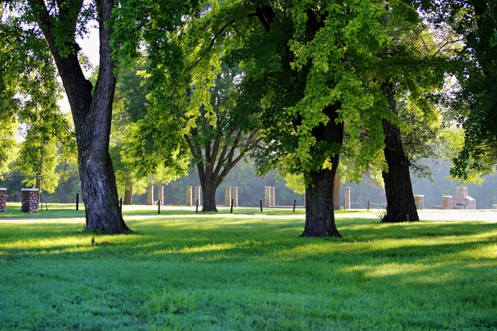 Gunderson Park gallery 1