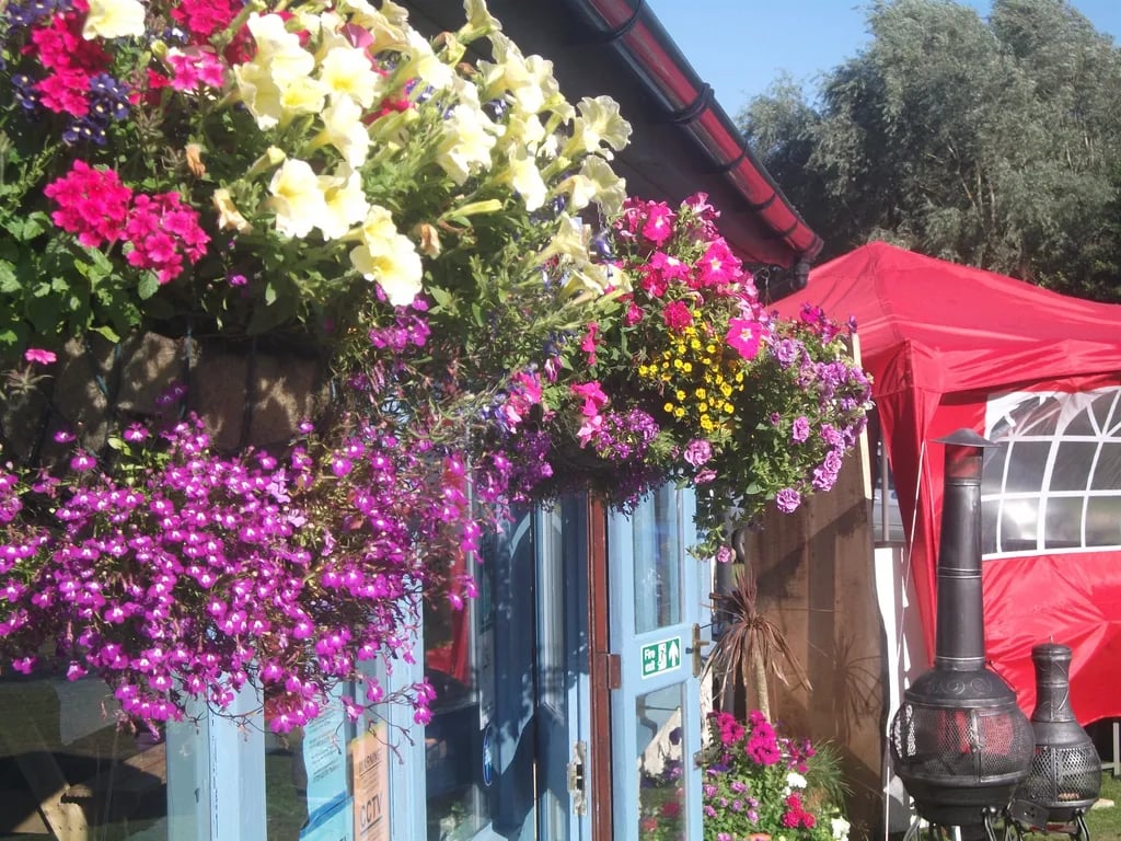 Glamping at Swanage by PitchingIt