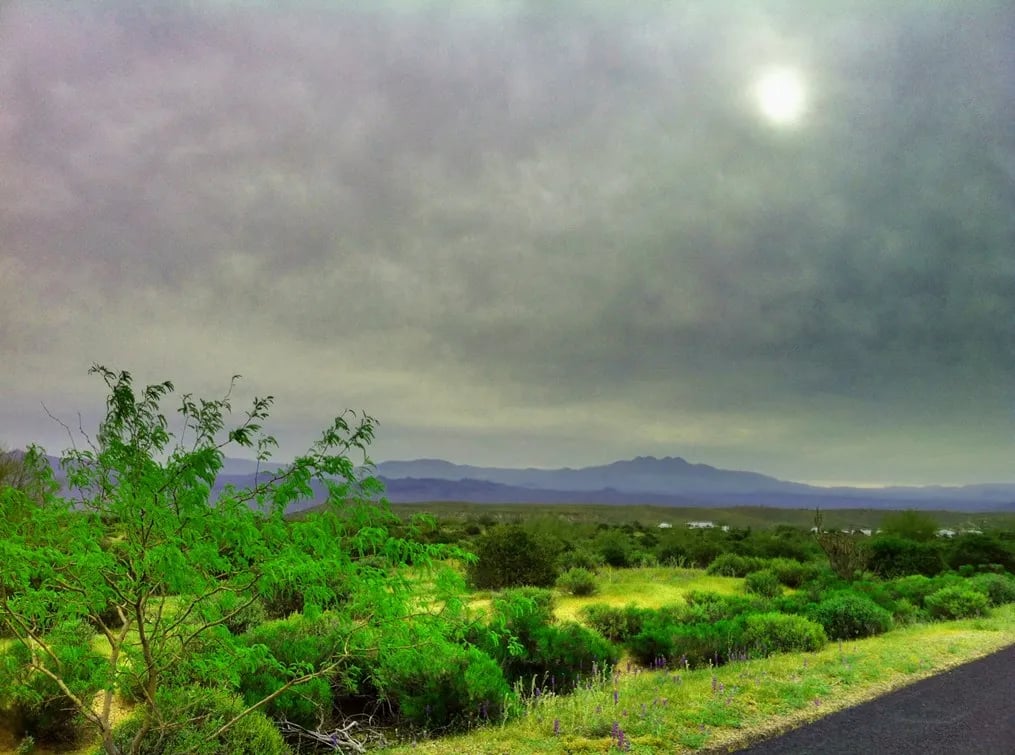 McDowell Mountain Regional Park gallery 2
