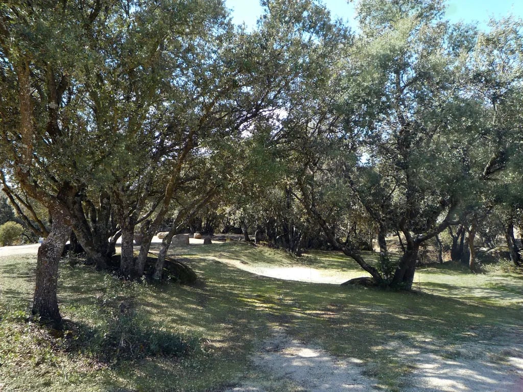 Camping Piscis gallery 1