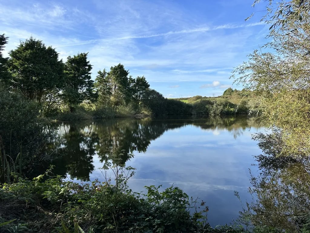 Tregonetha Lake gallery 1